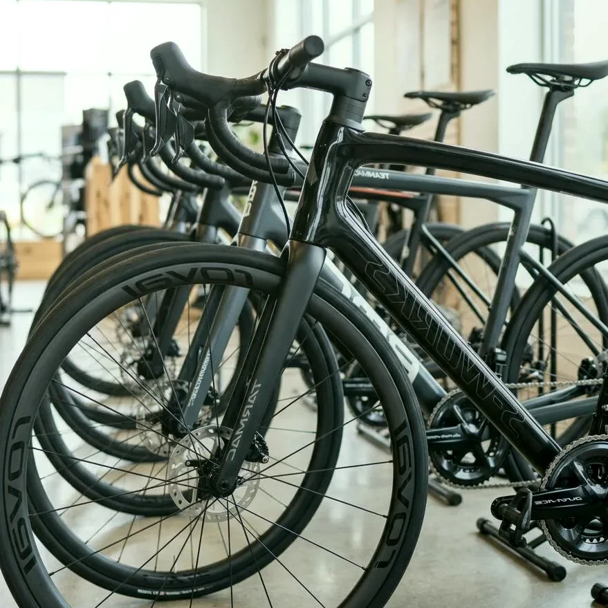 Silver Fern — Individuelles Bike-Fitting